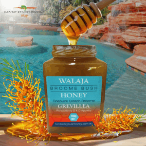 Grevillea Honey - Small