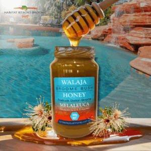 Melaleuca Honey - Small